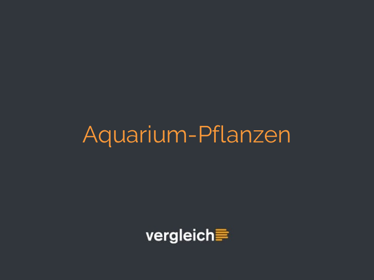 Aquarium-Pflanzen