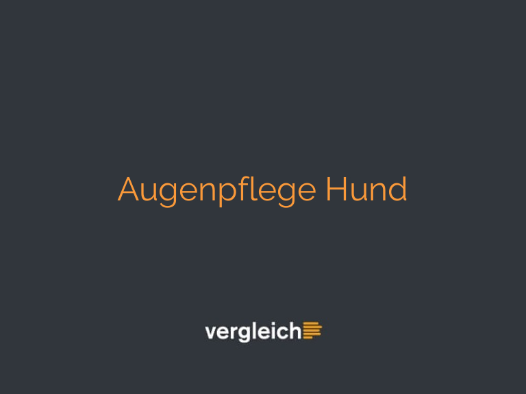 Augenpflege Hund