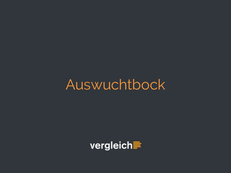 Auswuchtbock