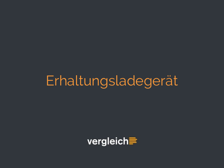 Erhaltungsladegerät