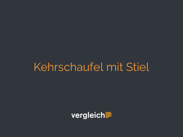Kehrschaufel mit Stiel