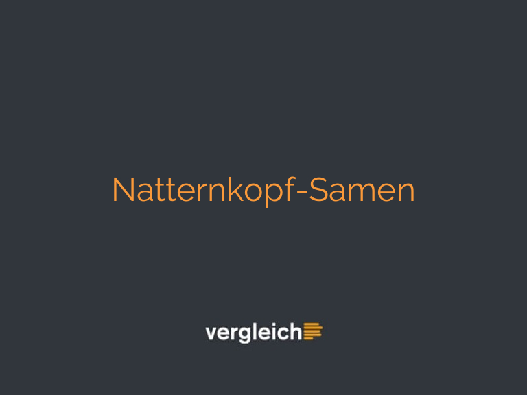 Natternkopf-Samen
