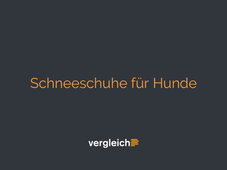 Schneeschuhe für Hunde