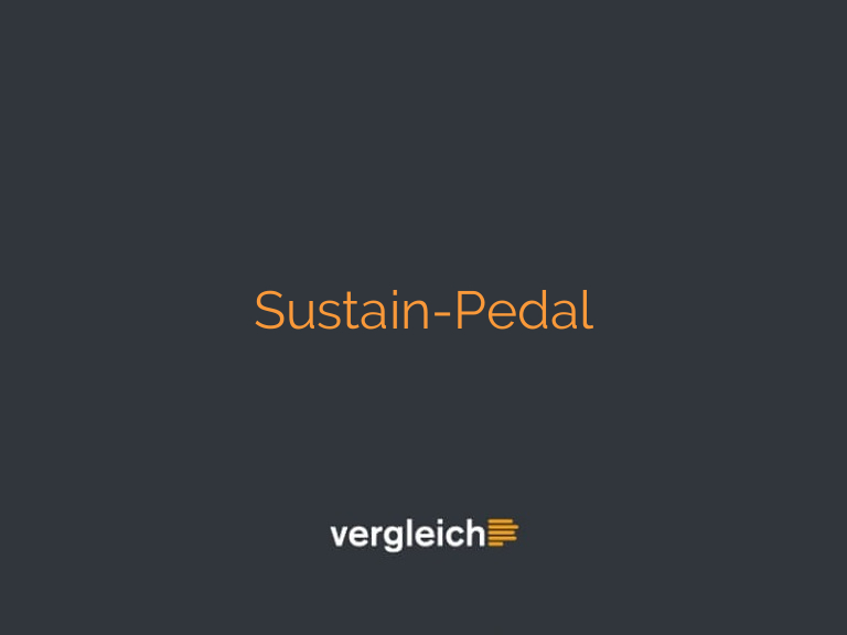 Sustain-Pedal