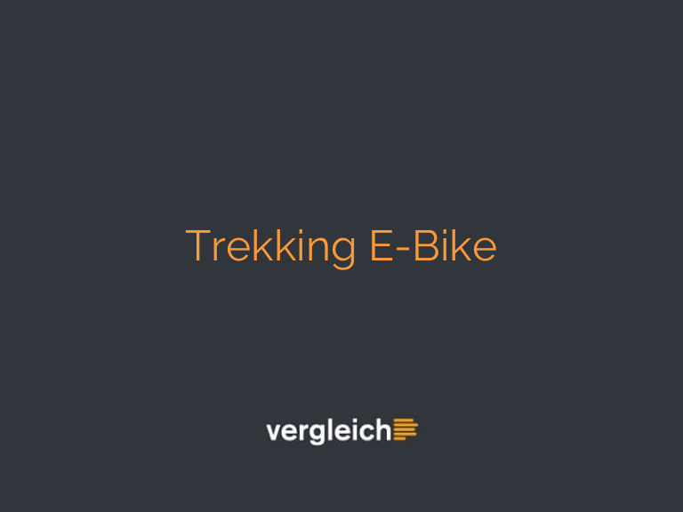 Trekking E-Bike